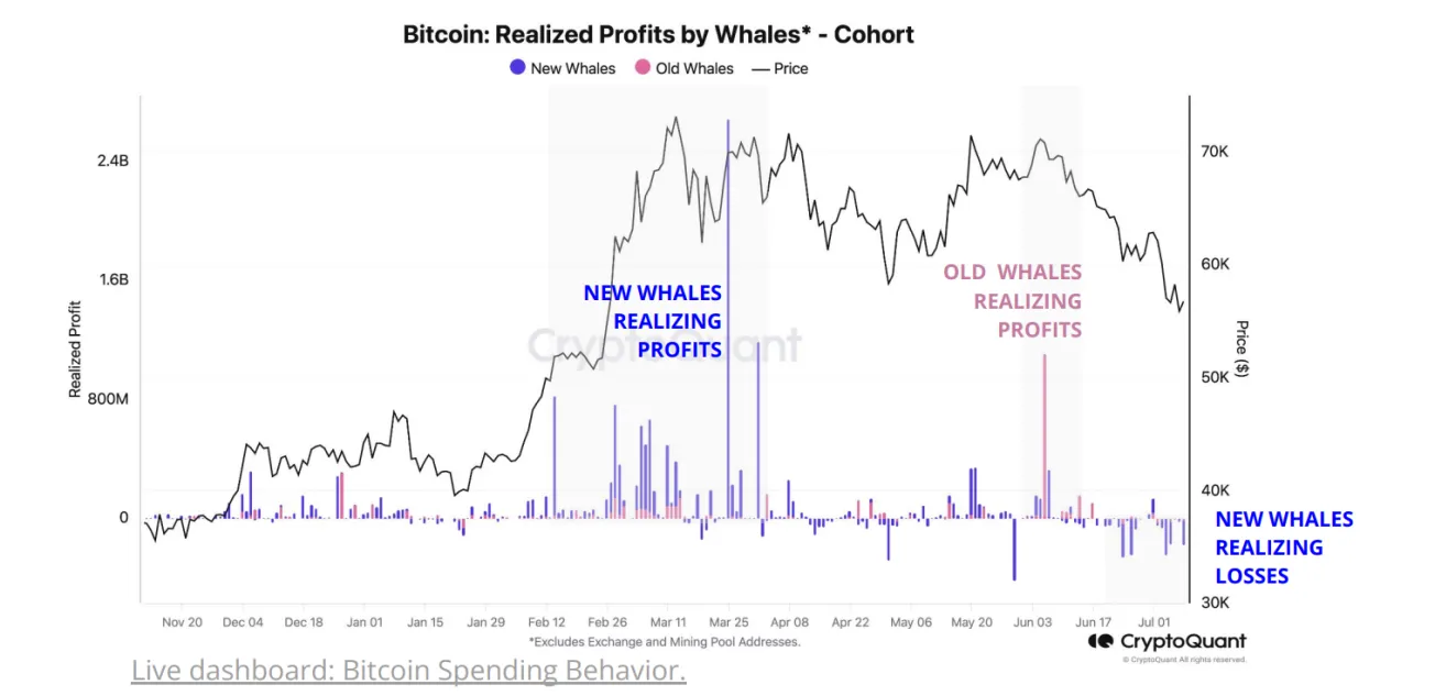 BTC profits echo the post-FTX climate