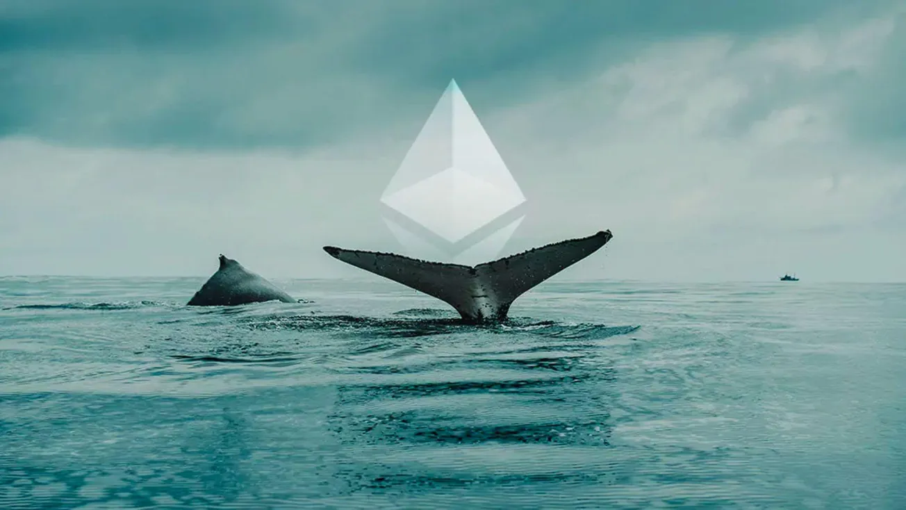 「2015年以太坊ICO鯨魚」時隔兩天再次拋售612枚ETH