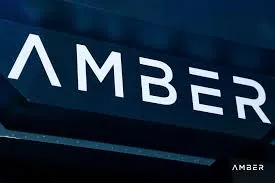 Amber Group、Spartan Group等機構參與穩定幣項目Plasma本輪存款活動