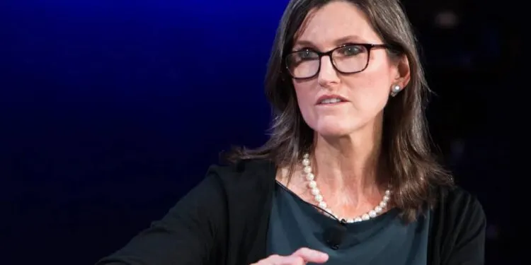 「女股神」又抄底！方舟加碼買進 Block 、 Circle 等加密幣概念股